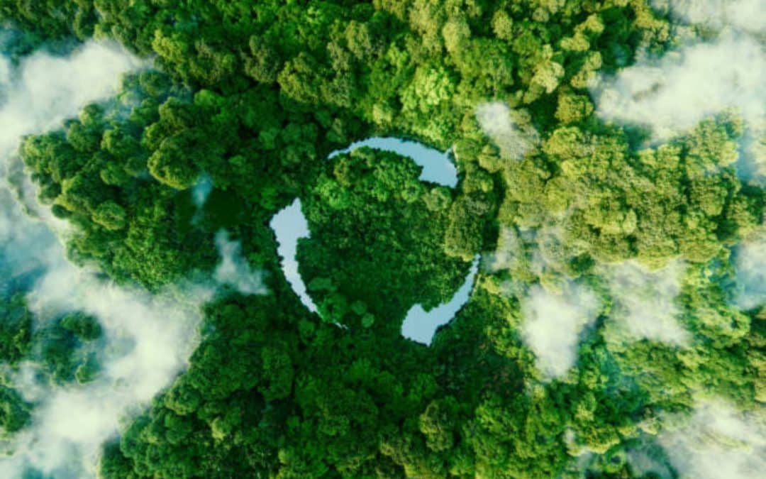 Sustainable Practices that can be used in Property Management